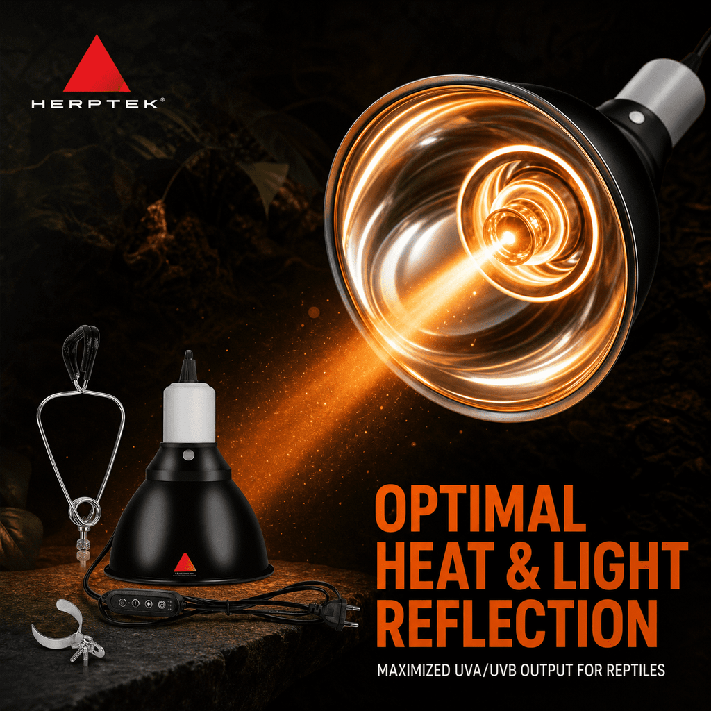 Doulami Reptile Heat Lamp, 110V Dome Light Fixture with Ceramic Socket, Reflector Shade Holder Easy Install Heat Cover for Tortoise Lizard Terrarium